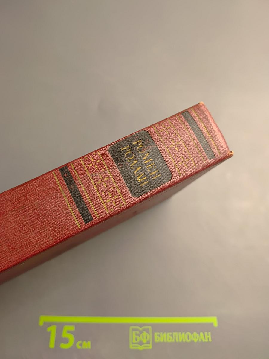 Собрание сочинений. Том 13. Публицистика (1917-1939)