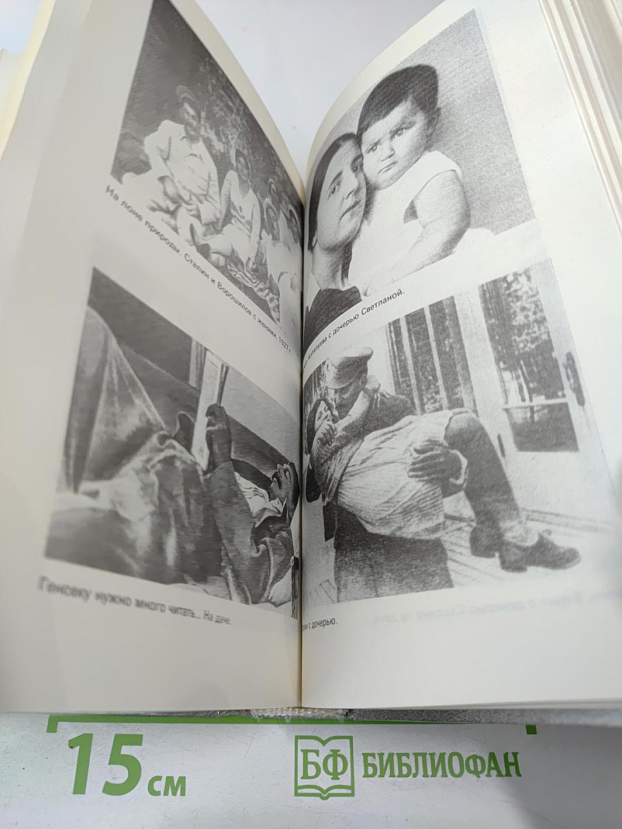 Триумф и трагедия. И.В. Сталин. Политический портрет. Книга 1