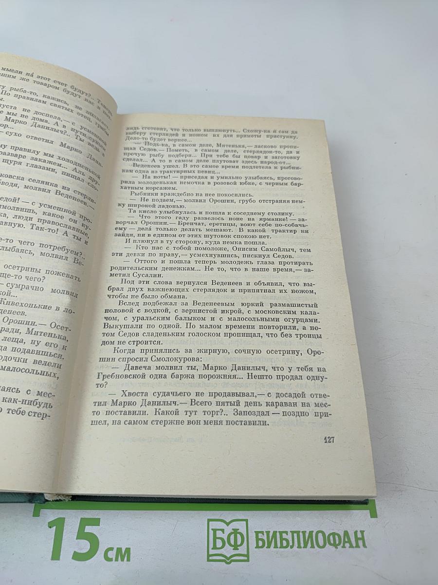 На Горах. Книга первая