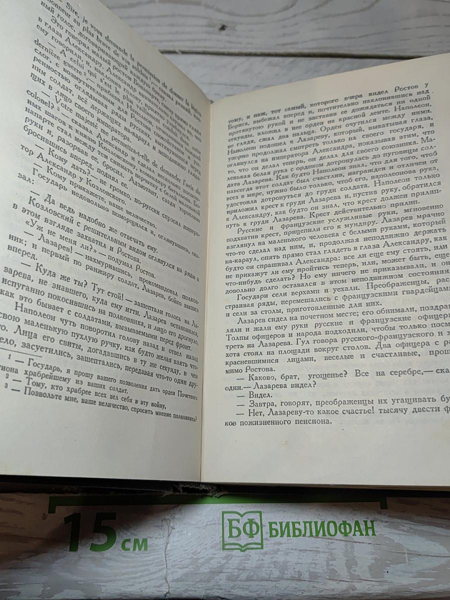 Война и мир. Том пятый