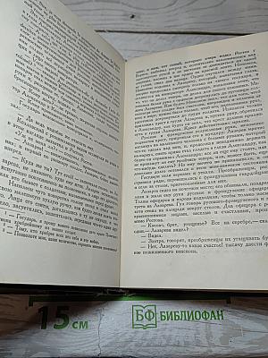 Война и мир. Том пятый
