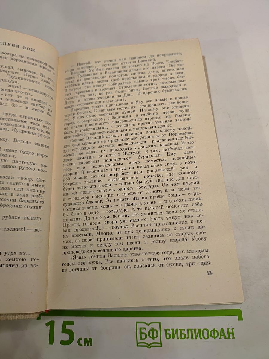 Степан Разин. Книга вторая