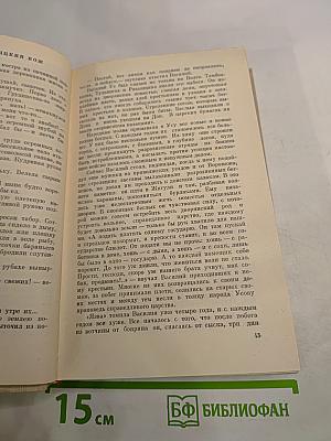 Степан Разин. Книга вторая