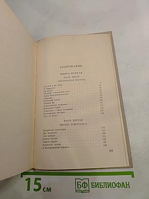 Степан Разин. Книга вторая