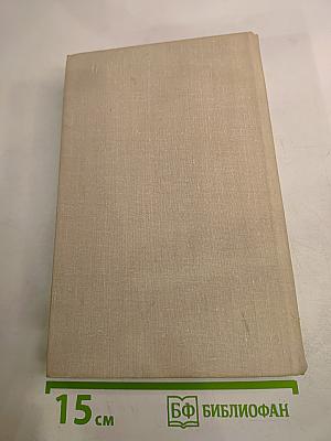 Степан Разин. Книга вторая