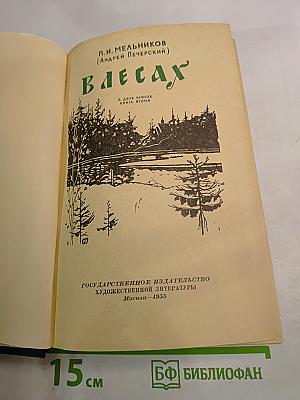 В лесах. В двух книгах. Книга вторая
