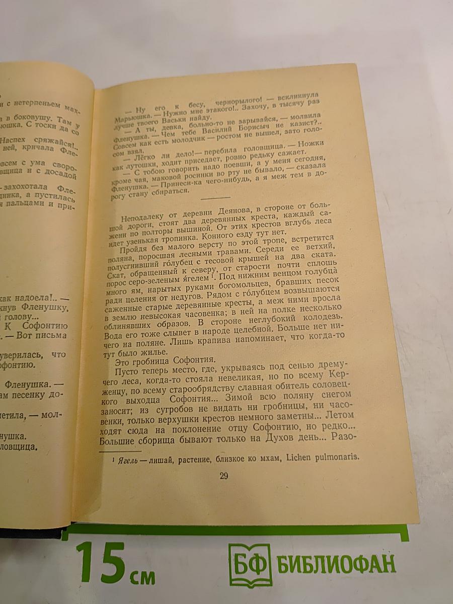 В лесах. В двух книгах. Книга вторая