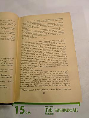 В лесах. В двух книгах. Книга вторая