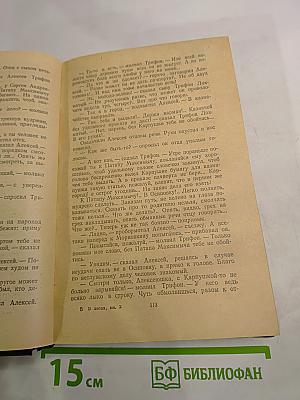 В лесах. В двух книгах. Книга вторая