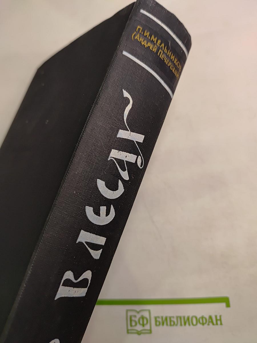 В лесах. В двух книгах. Книга вторая