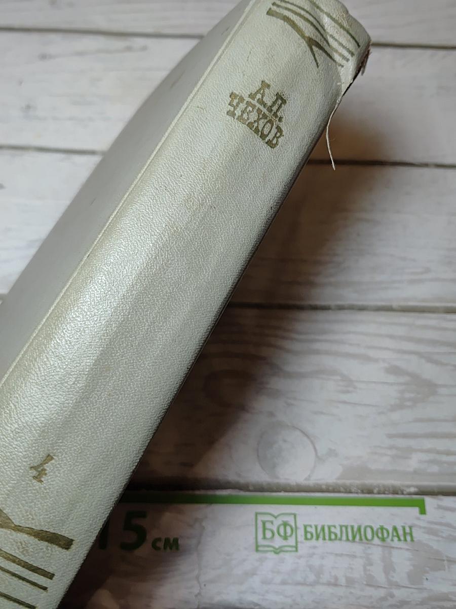 Собрание сочинений. Том четвертый. Рассказы 1886