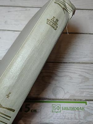 Собрание сочинений. Том четвертый. Рассказы 1886