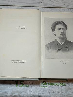 Собрание сочинений. Том четвертый. Рассказы 1886