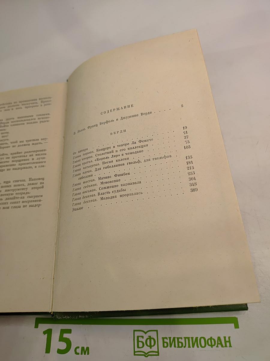 Верди. Роман оперы