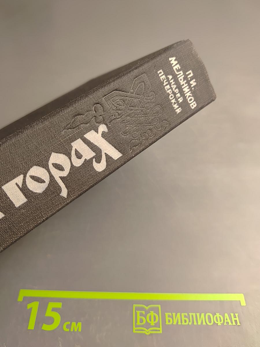 На горах. Книга вторая