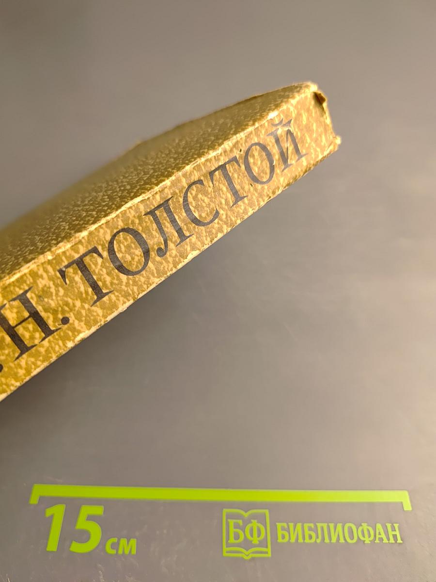 Собрание сочинений. Том 10. Произведения 1872-1896 годов