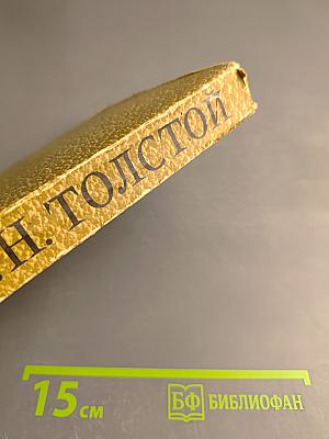 Собрание сочинений. Том 10. Произведения 1872-1896 годов