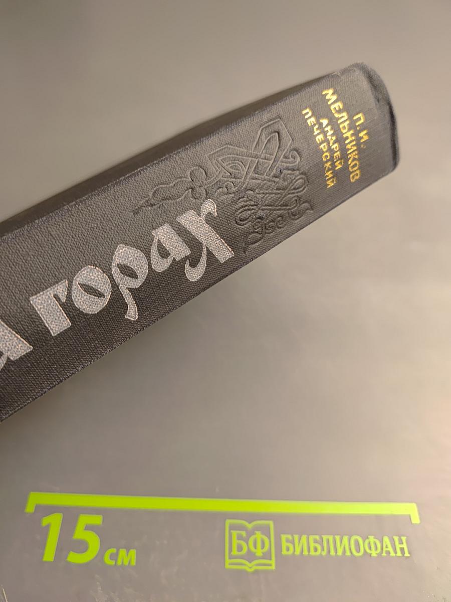 На горах. Книга вторая