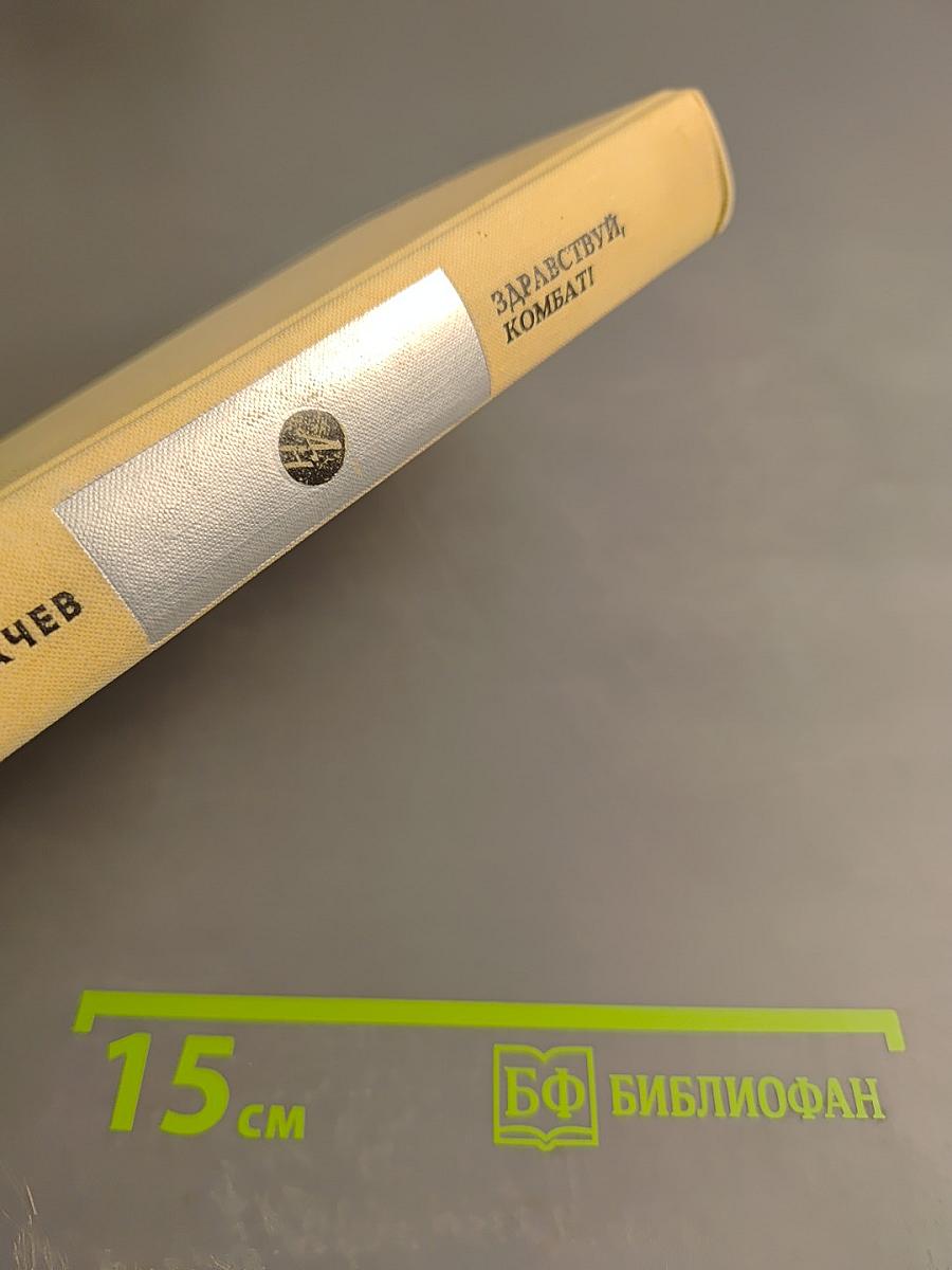 Здравствуй, комбат!