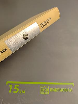 Здравствуй, комбат!