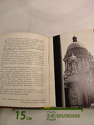 Львы стерегут город