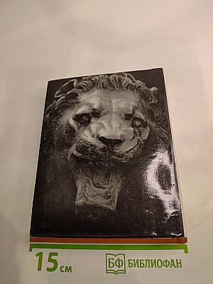 Львы стерегут город