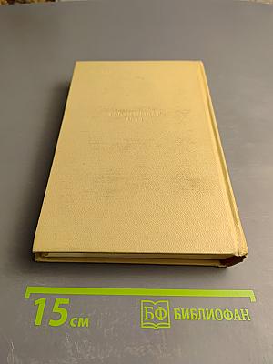 Собрание сочинений. Том пятый. История моего современника