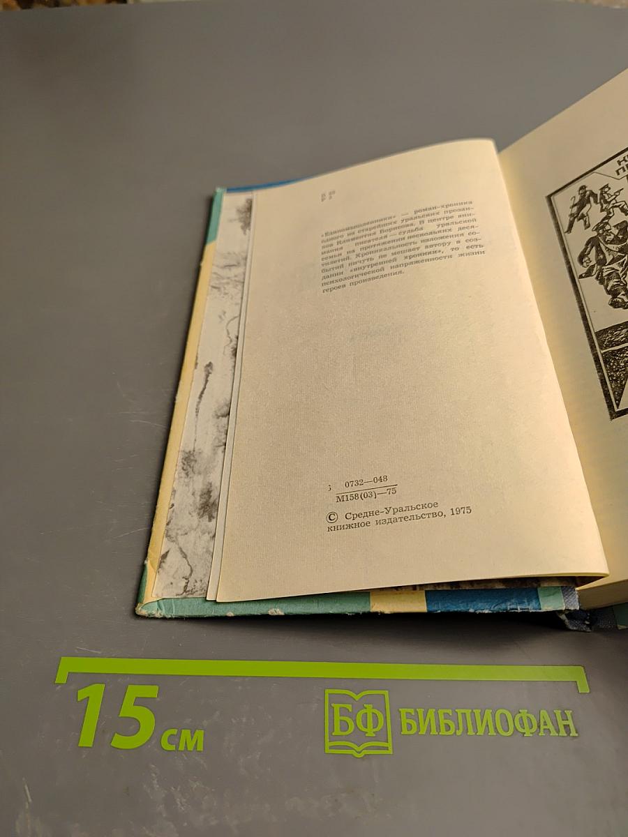 Единомышленники