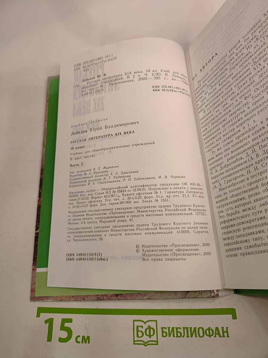 Русская литература XIX века. 10 класс. Часть 2