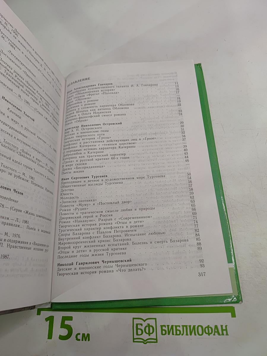 Русская литература XIX века. 10 класс. Часть 2