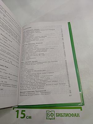 Русская литература XIX века. 10 класс. Часть 2