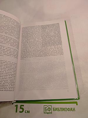 Русская литература XIX века. 10 класс. Часть 2