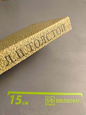 Воскресение. Том 11