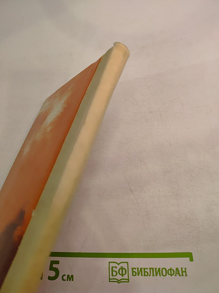 Спасаенное знамя