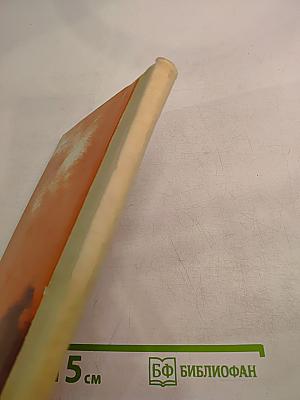 Спасаенное знамя