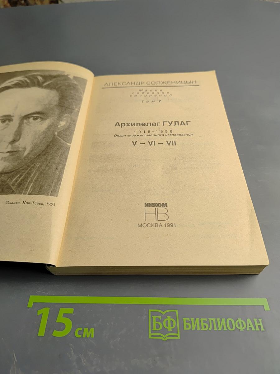 Архипелаг ГУЛАГ. Опыт художественного исследования. Том 3 (V-VI-VII)