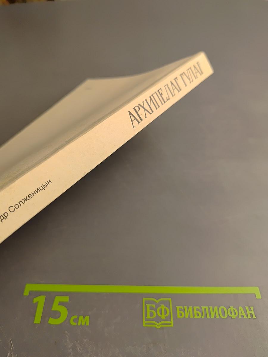 Архипелаг ГУЛАГ. Опыт художественного исследования. Том 3 (V-VI-VII)