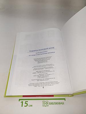 Подарок молодой маме. Большая книга по уходу и воспитанию малыша