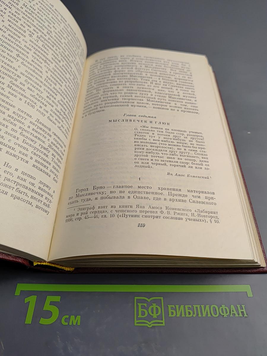 Собрание сочинений Том девятый. Работы о музыке