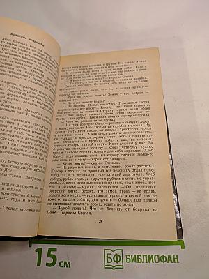 Степан Разин. Книга первая