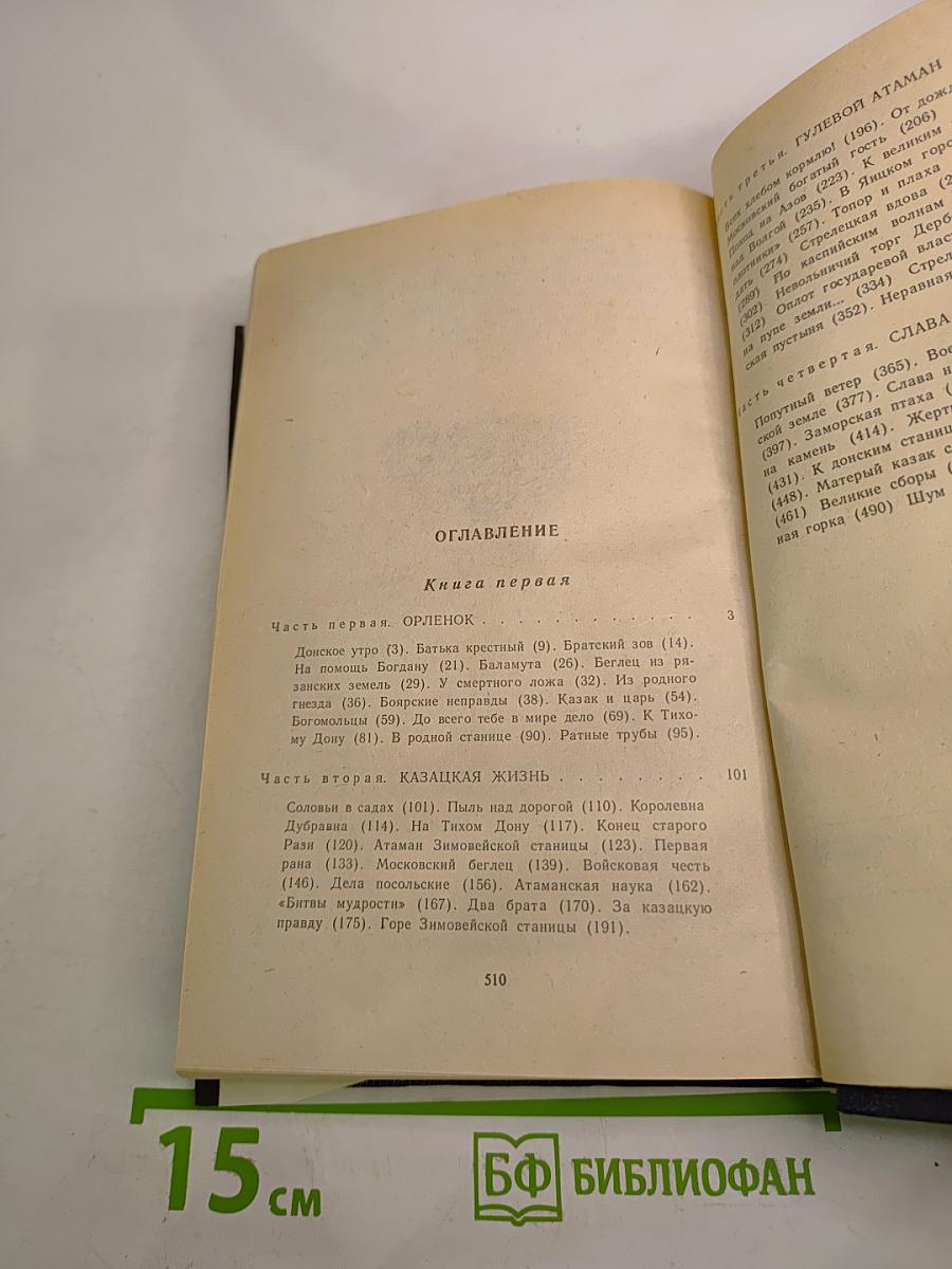 Степан Разин. Книга первая