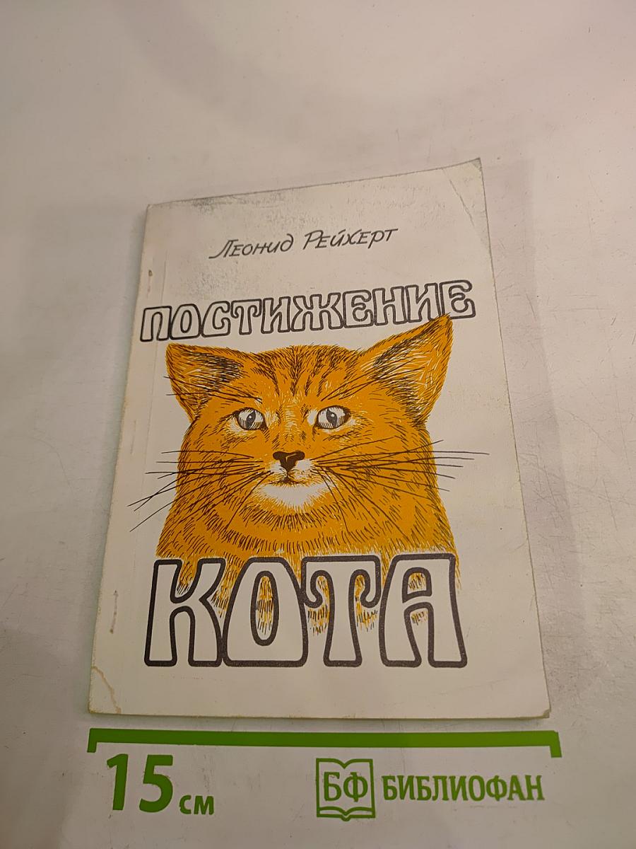 Постижение кота