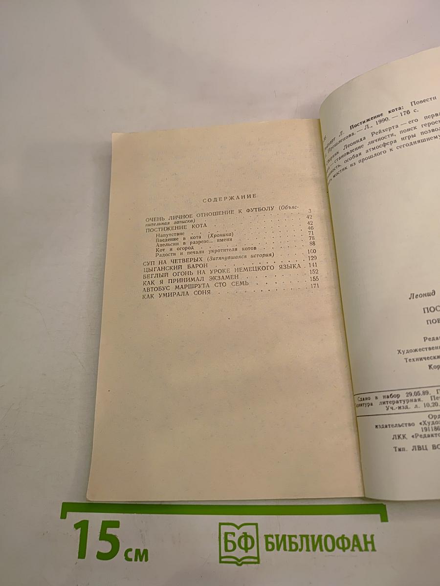 Постижение кота