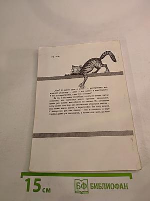 Постижение кота