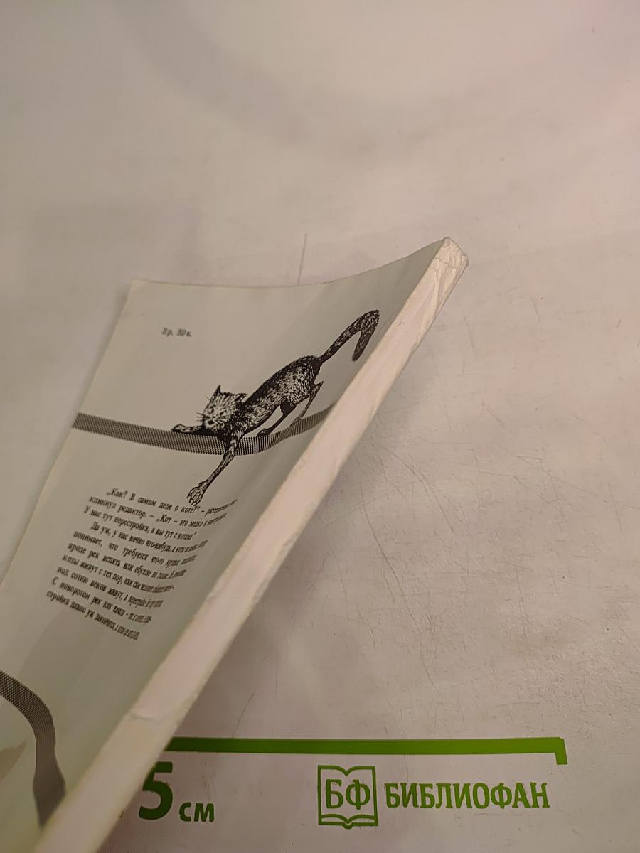 Постижение кота