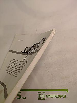 Постижение кота