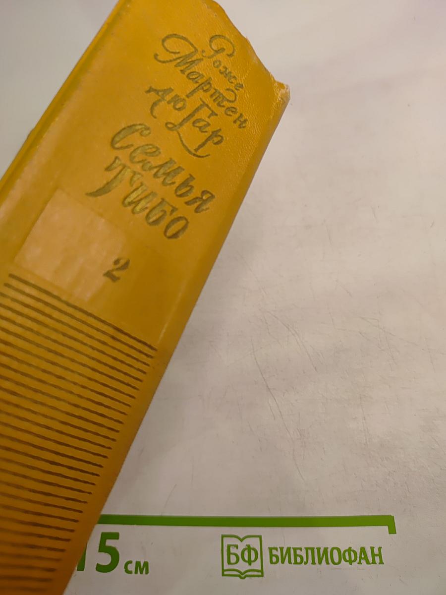 Семья Тибо. Том 2