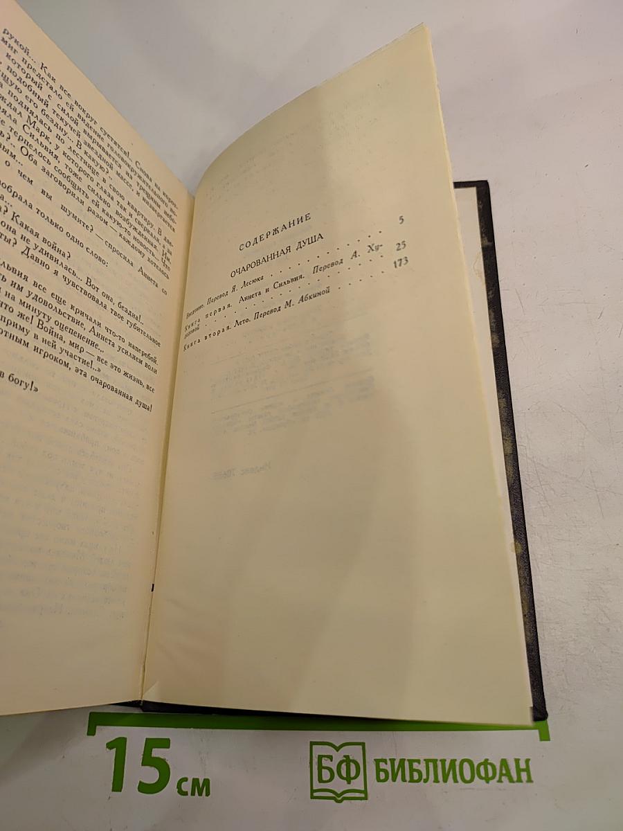 Собрание сочинений в девяти томах. Том 6: Очарованная душа