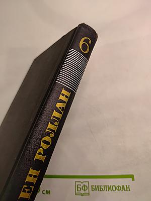 Собрание сочинений в девяти томах. Том 6: Очарованная душа