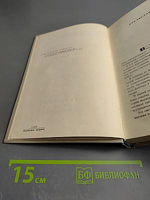 Политическая организация Советского общества